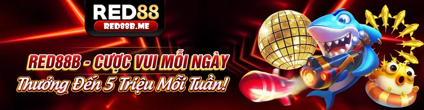 Chính sách quyền riêng tư của TV88, bảo vệ dữ liệu người dùng